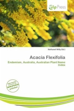 Acacia Flexifolia