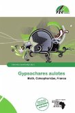 Gypsochares aulotes Gypsochares aulotes