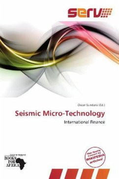 Seismic Micro-Technology