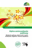 Alpha-aminoadipate pathway
