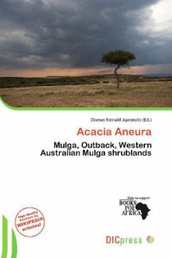 Acacia Aneura