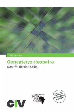 Gonepteryx cleopatra