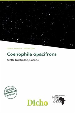 Coenophila opacifrons