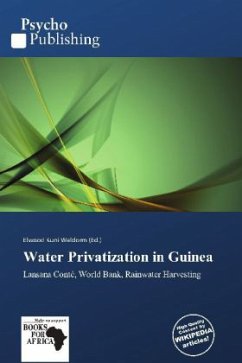 Water Privatization in Guinea