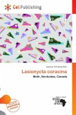 Lasionycta coracina