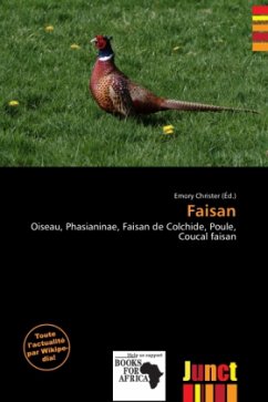 Faisan