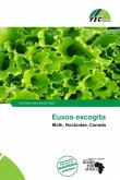 Euxoa excogita Euxoa excogita