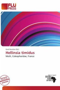 Cover Hellinsia timidus