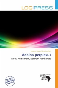 Adaina perplexus