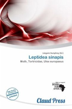 Leptidea sinapis