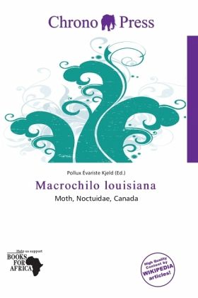 Macrochilo louisiana