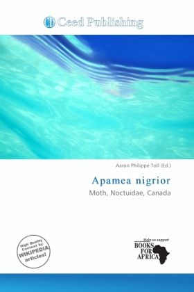 Apamea nigrior Apamea nigrior