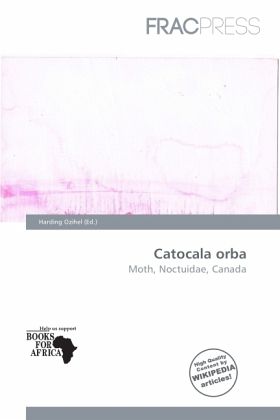 Catocala orba