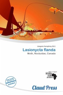 Cover Lasionycta flanda