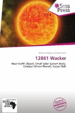 Cover 12861 Wacker