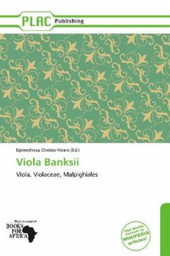Viola Banksii