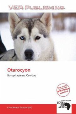 Otarocyon