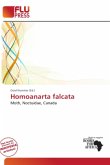 Homoanarta falcata Homoanarta falcata