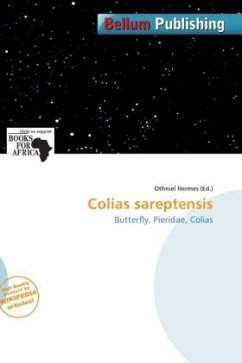 Cover Colias sareptensis