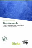 Ciaccio's glands