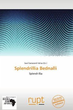 Splendrillia Bednalli