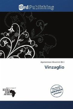 Cover Vinzaglio