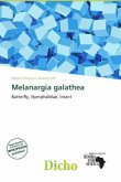 Melanargia galathea
