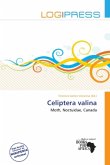 Celiptera valina Celiptera valina