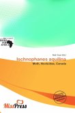 Ischnophanes aquilina Ischnophanes aquilina