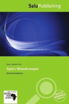 Spix's Woodcreeper