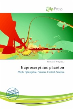Cover Euproserpinus phaeton