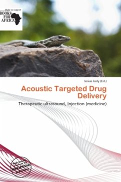 Acoustic Targeted Drug Delivery