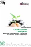 Leptospermum Laevigatum