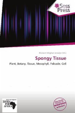 Cover Spongy Tissue