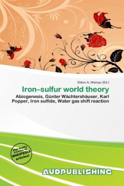 Iron sulfur world theory