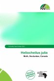 Heliocheilus julia