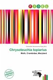 Chrysoteuchia topiarius Chrysoteuchia topiarius