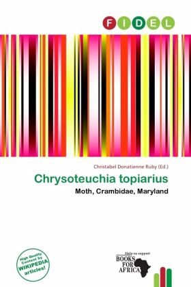 Chrysoteuchia topiarius Chrysoteuchia topiarius