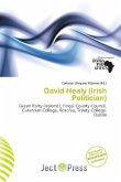 David Healy (Irish Politician)