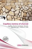 Capillary lamina of choroid