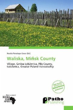 Waliska, Mi sk County