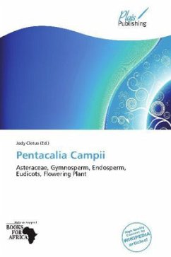 Pentacalia Campii