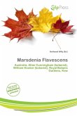 Marsdenia Flavescens