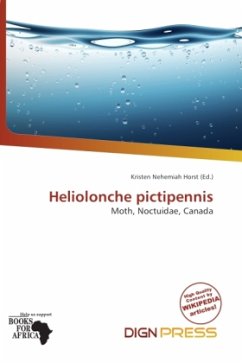 Heliolonche pictipennis