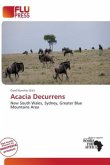 Acacia Decurrens Acacia Decurrens