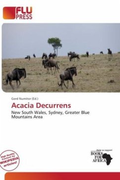 Cover Acacia Decurrens