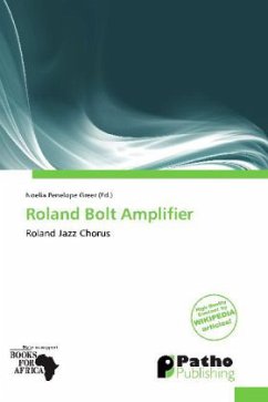 Roland Bolt Amplifier