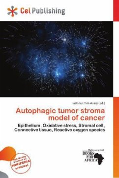 Autophagic tumor stroma model of cancer