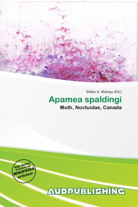 Apamea spaldingi Apamea spaldingi