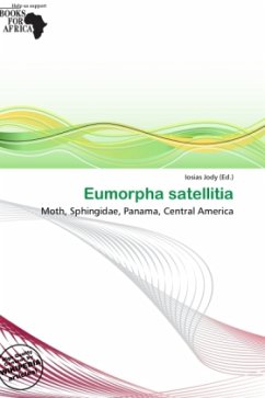 Eumorpha satellitia